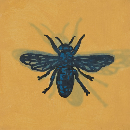 Alphabet der Piraten.